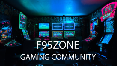 Top 10 Tips for Making the Most of F95Z