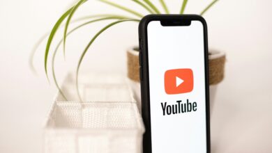 The Best YouTube Downloaders: A User's Guide