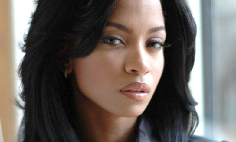 Karrine Steffans: A Guide to Her Life and Career